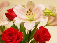 14050CrLeSh - Beth's Valentine's flowers.JPG